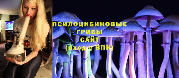 прущий лед Аркадак
