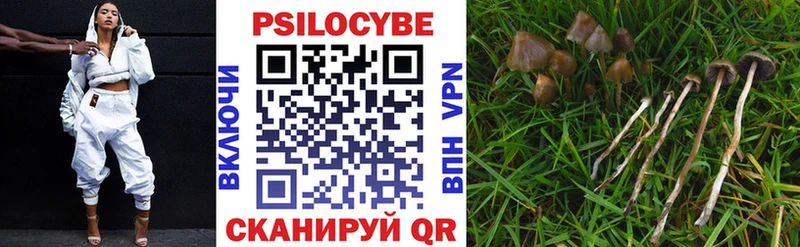 Галлюциногенные грибы мухоморы  цена   Славгород 