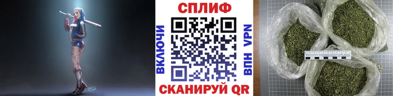Шишки марихуана марихуана  Славгород 